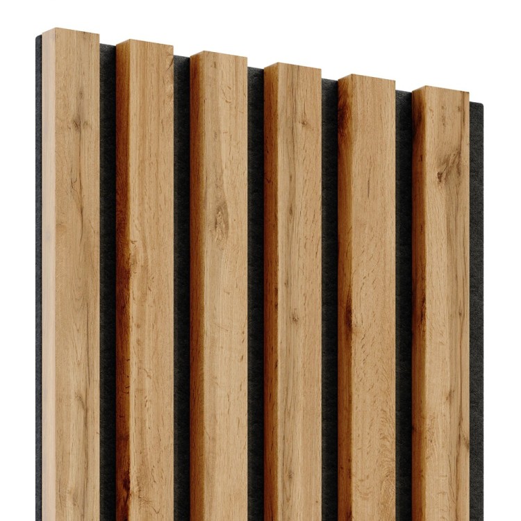 LAMEO_F107_2.jpg