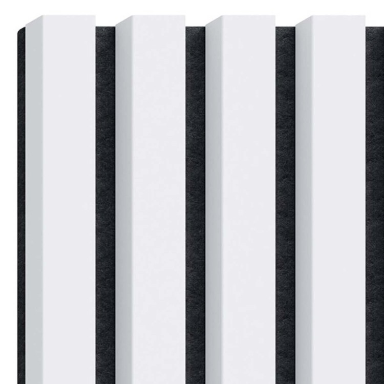 LAMEO_F110_4.jpg