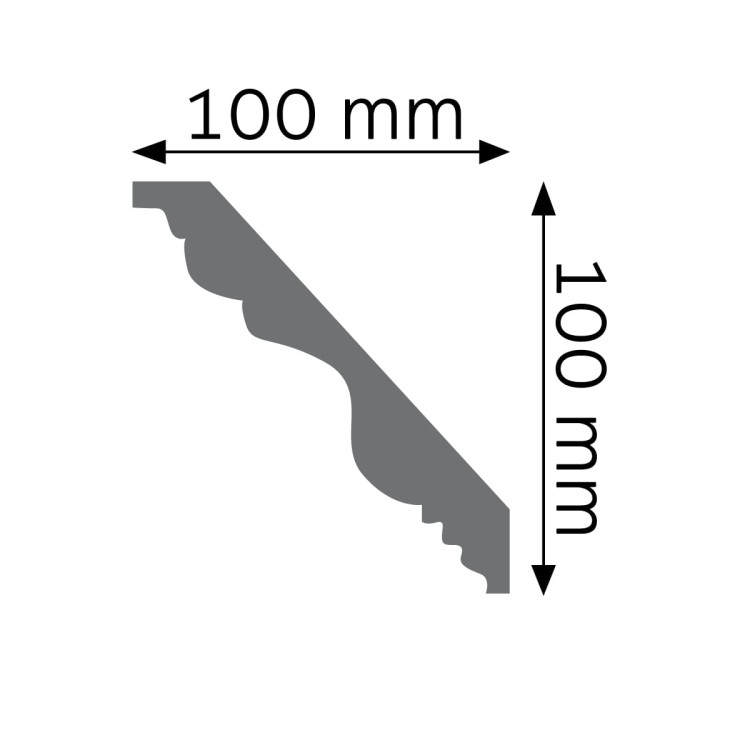 LGG-04.jpg