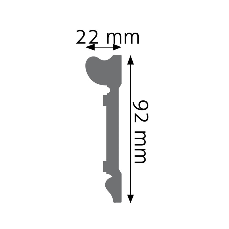 LPC-21.jpg