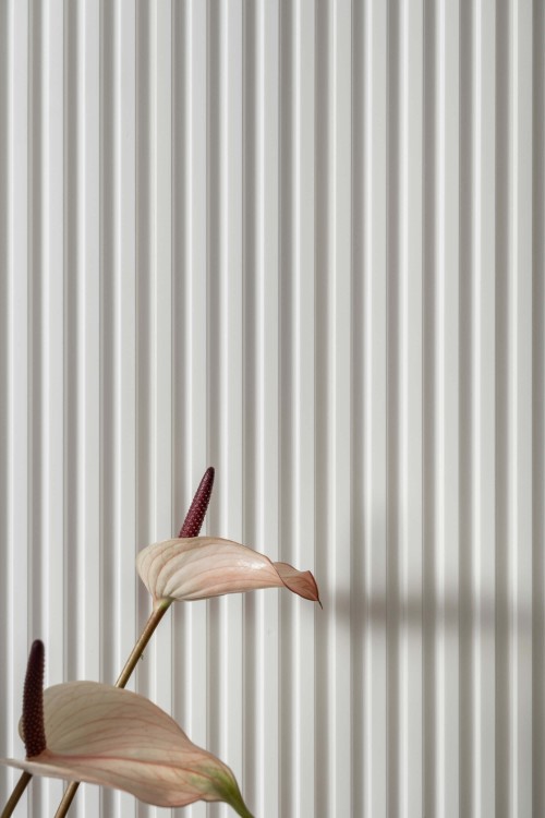 L0101 białe do malowania lamele na ścianę.jpg