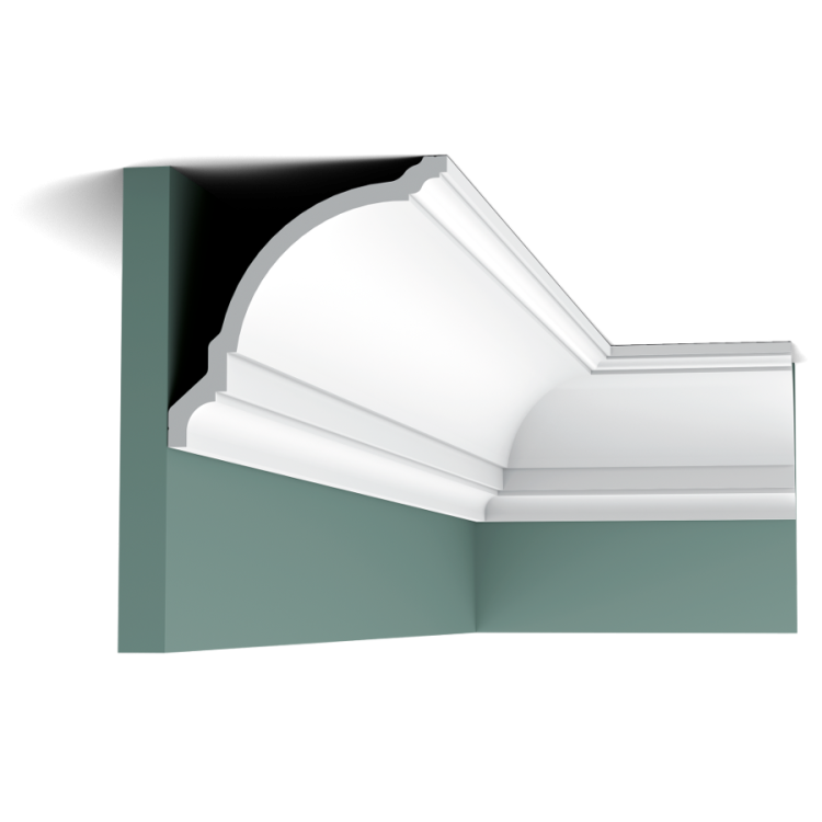 cx203_f.png