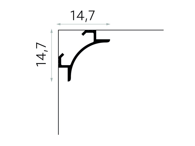 QL001.jpg